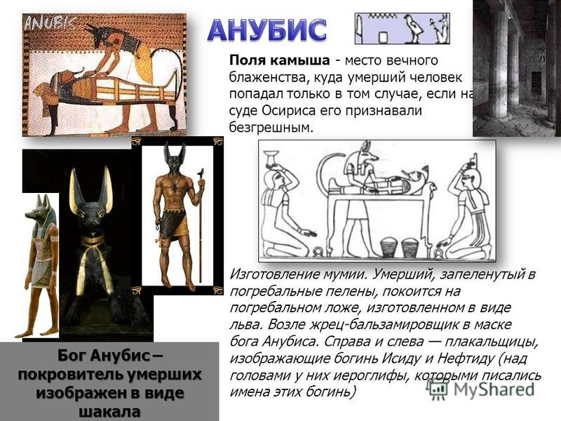 Анубис смысл. Анубис Бог древнего Египта. Информация о древнем Боге Египта Анубис. Как изображался Анубис в древнем Египте. Египетские иероглифы Анубиса.